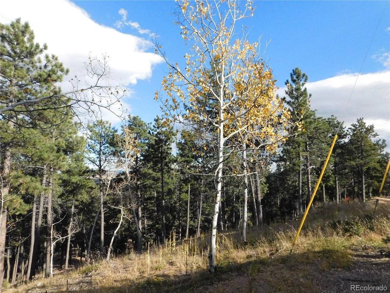 13910 Boulder, Larkspur, CO 80118