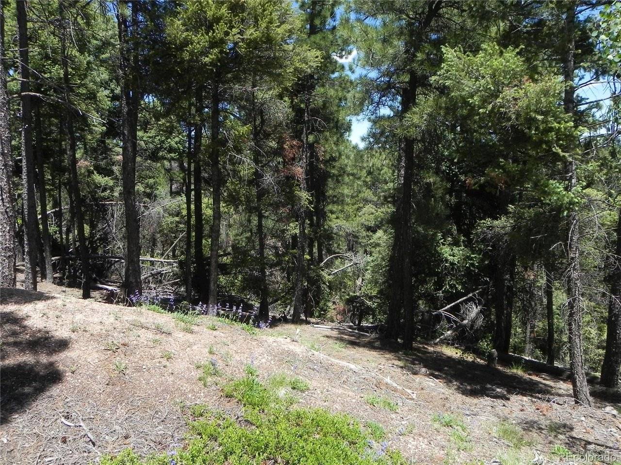 13910 Boulder, Larkspur, CO 80118