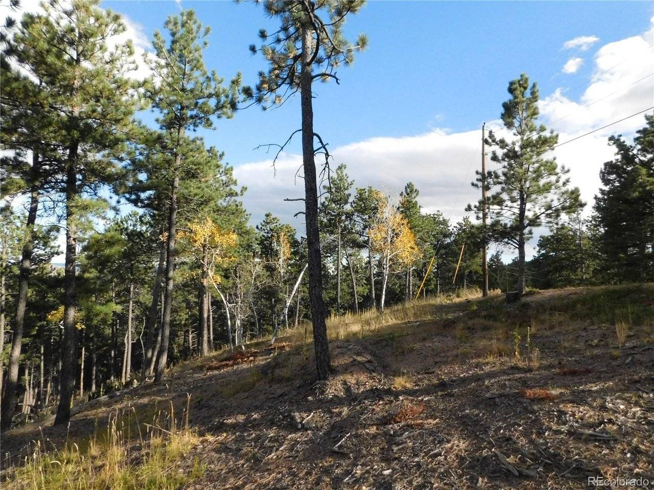 13910 Boulder, Larkspur, CO 80118