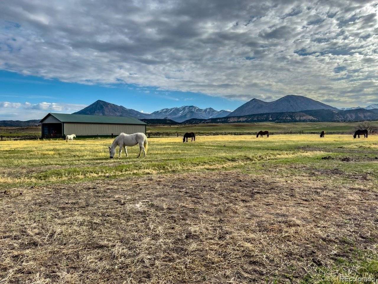 1071 Black Canyon, Crawford, CO 81415