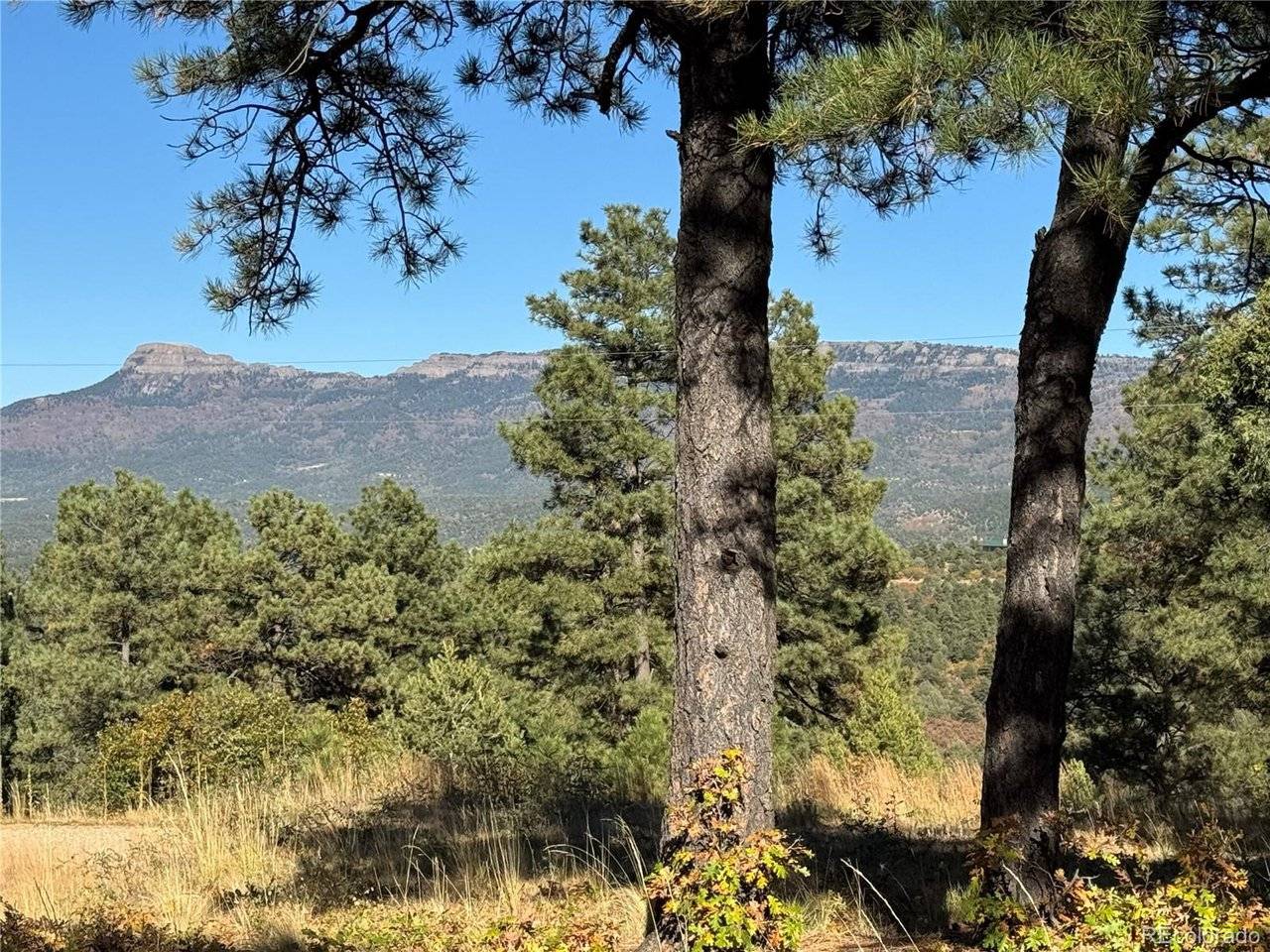 33250 Fox Trail, Trinidad, CO 81082