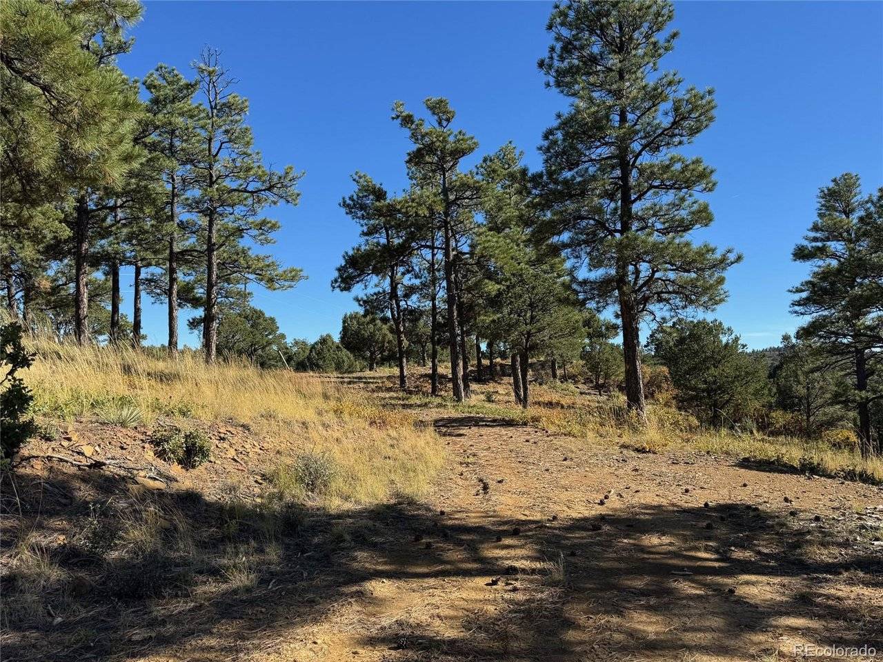 33250 Fox Trail, Trinidad, CO 81082