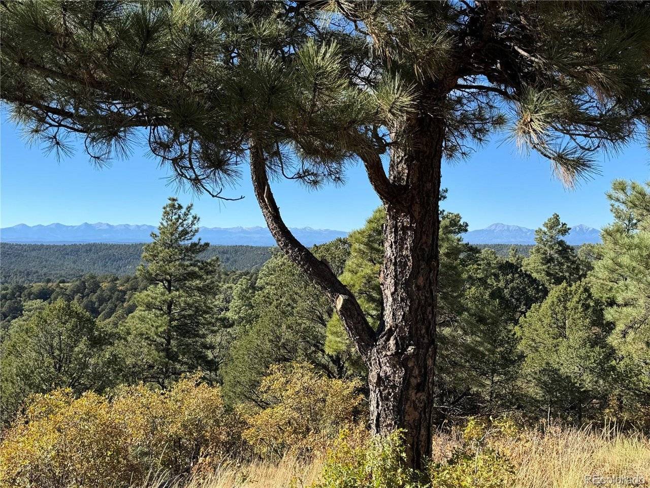 33250 Fox Trail, Trinidad, CO 81082