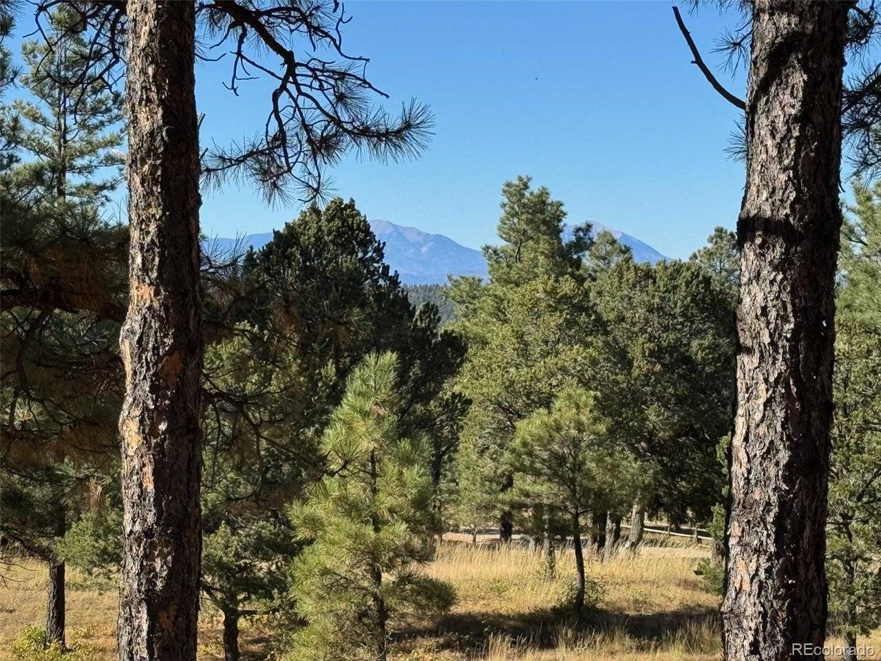 33250 Fox Trail, Trinidad, CO 81082