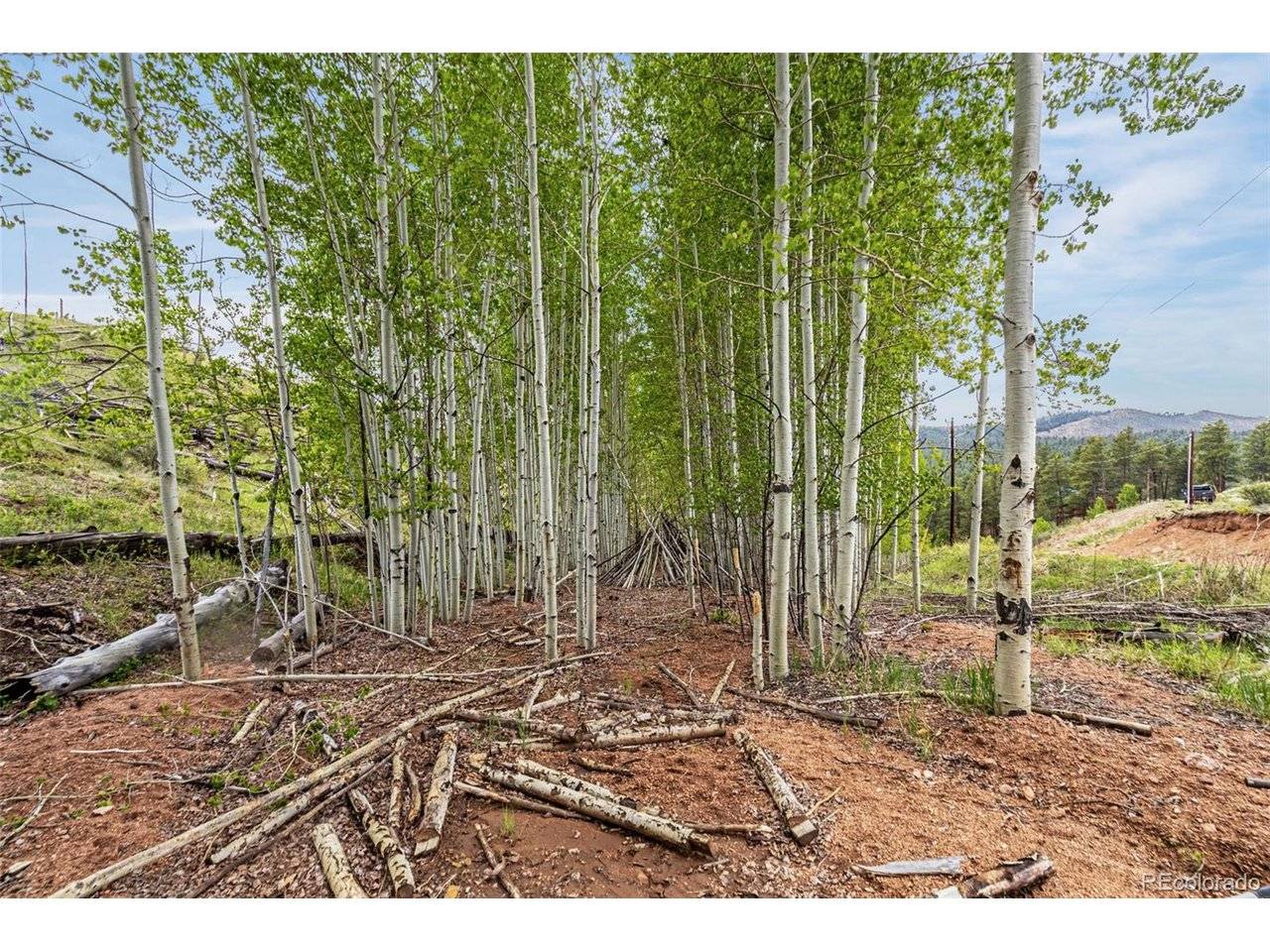 1 Columbine, Woodland Park, CO 80863