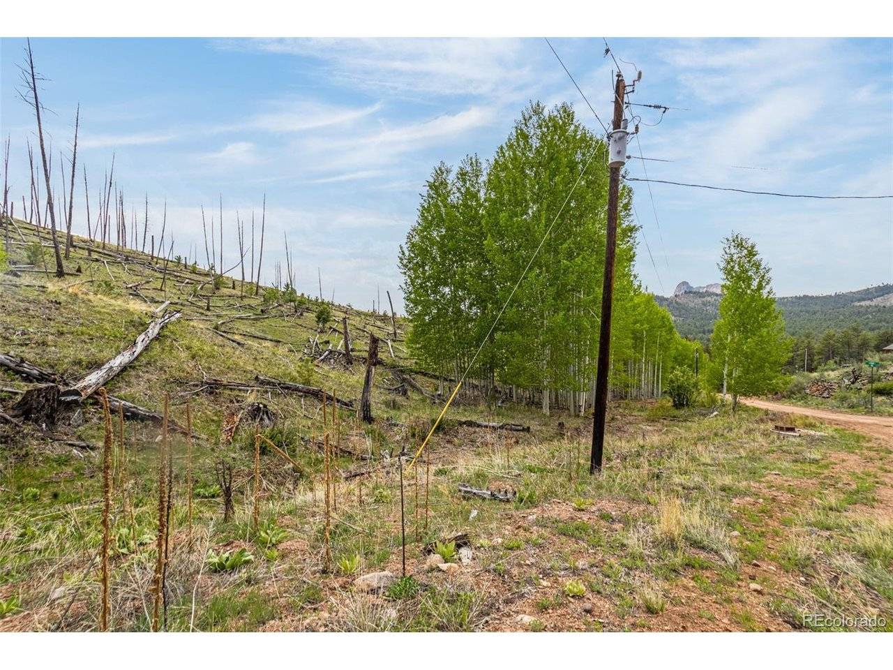 1 Columbine, Woodland Park, CO 80863