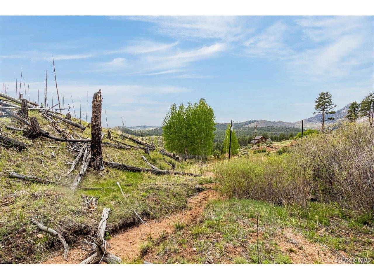 1 Columbine, Woodland Park, CO 80863