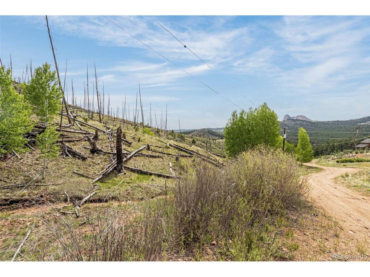 1 Columbine, Woodland Park, CO 80863