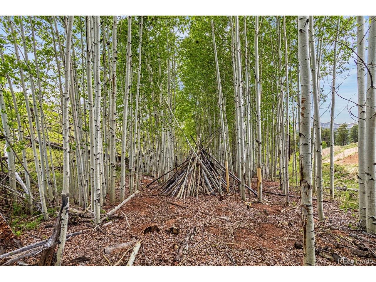 1 Columbine, Woodland Park, CO 80863