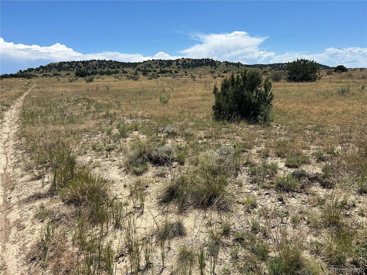17 Longhorn Ranch, Model, CO 81059