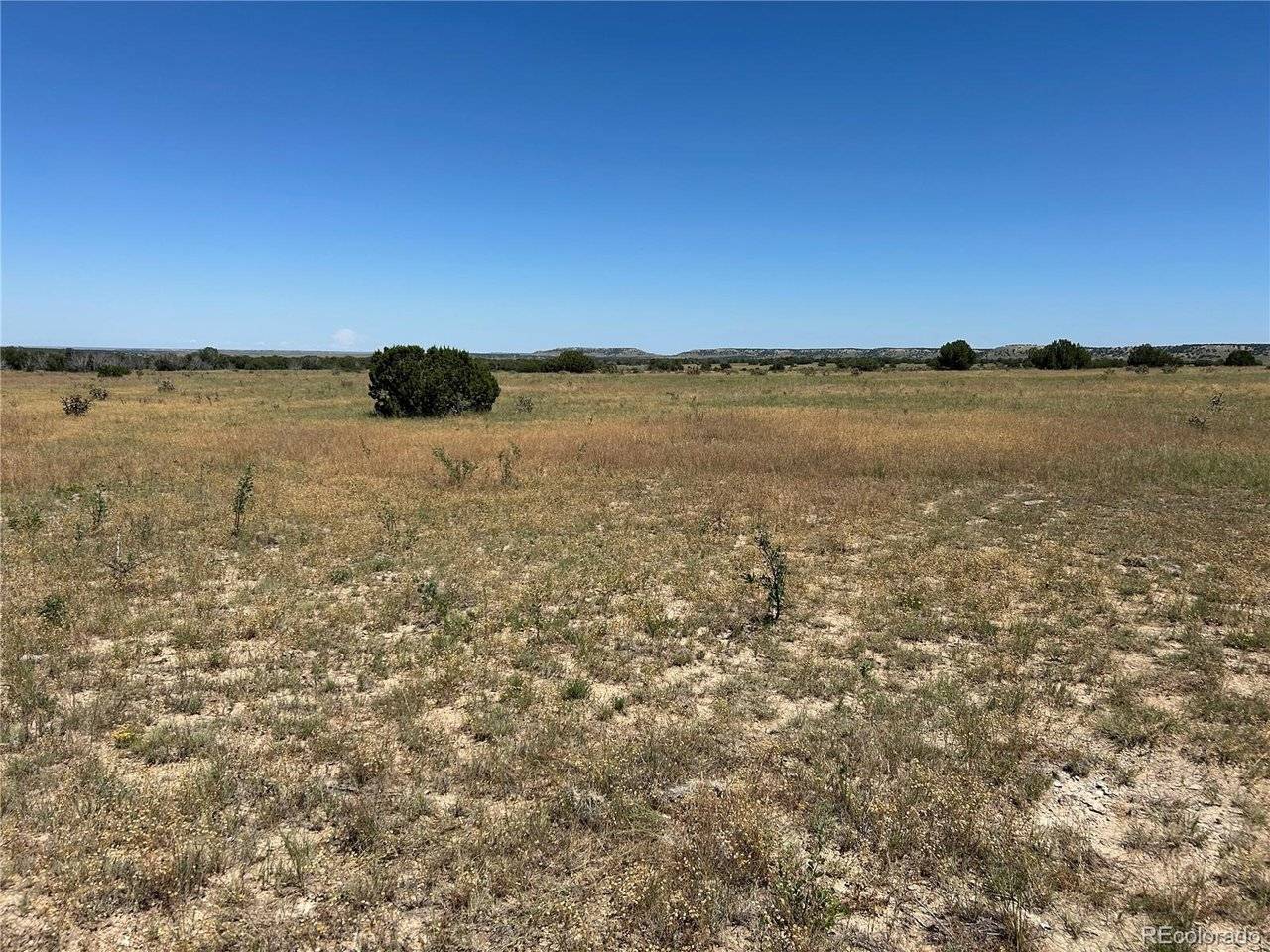 17 Longhorn Ranch, Model, CO 81059