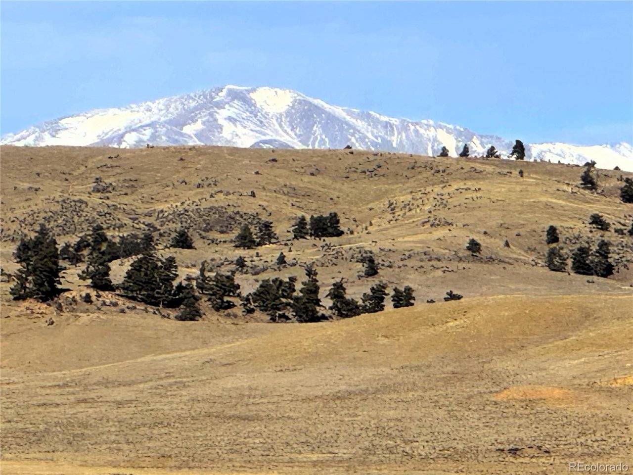 14501 Chickasaw, Hartsel, CO 80449