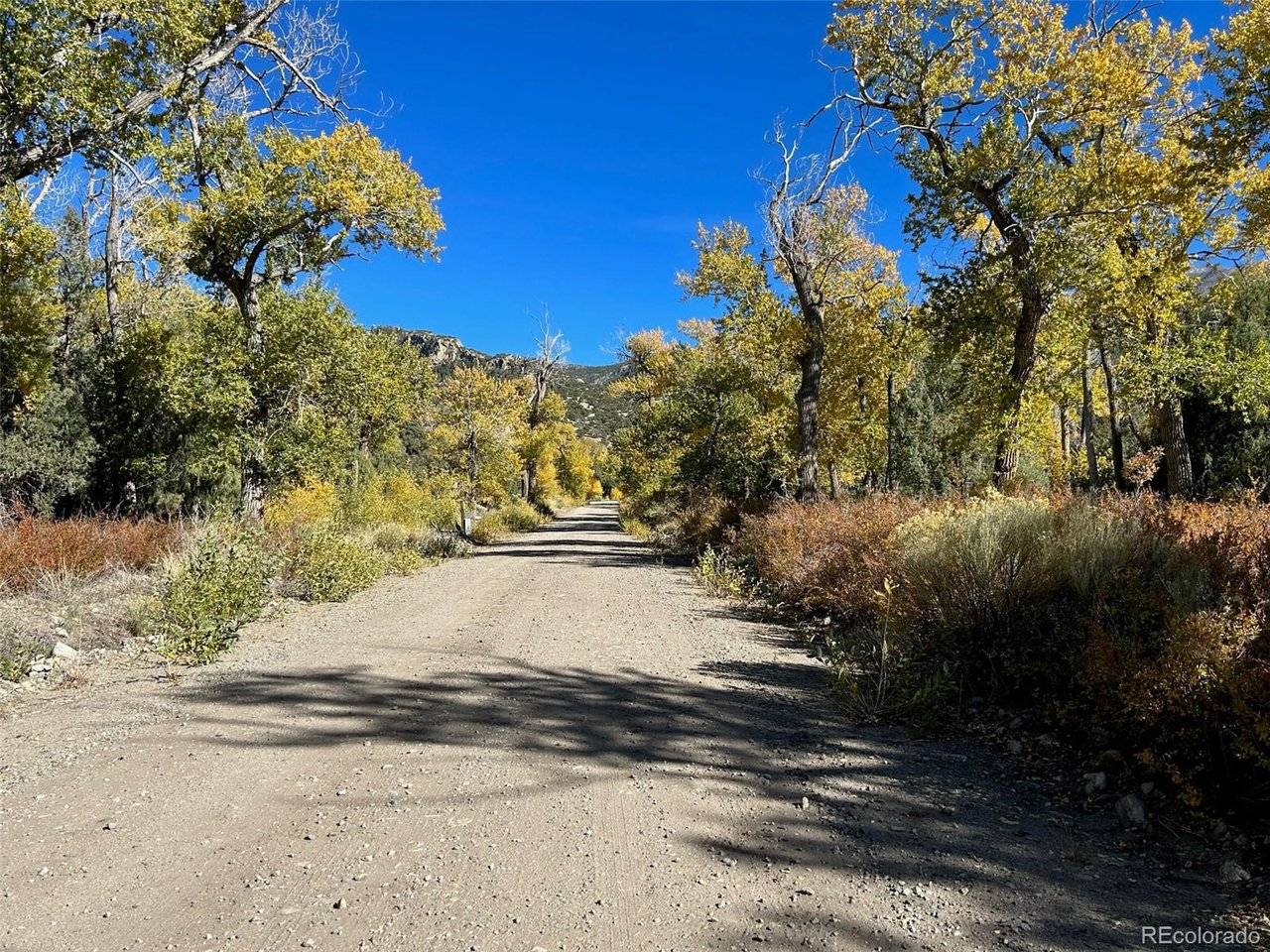 124 Indian Hill, Mosca, CO 81146