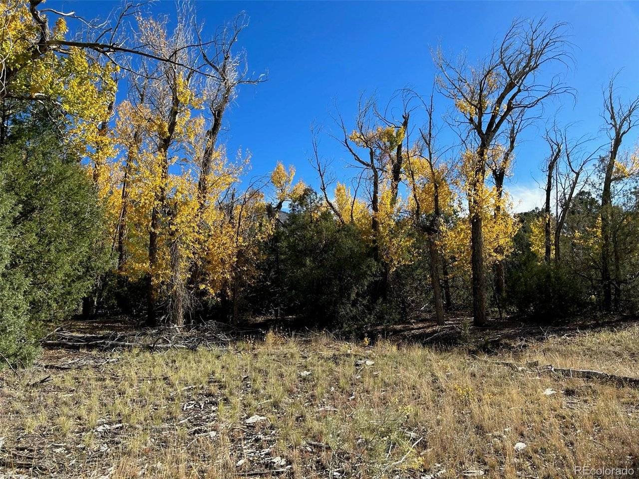 124 Indian Hill, Mosca, CO 81146