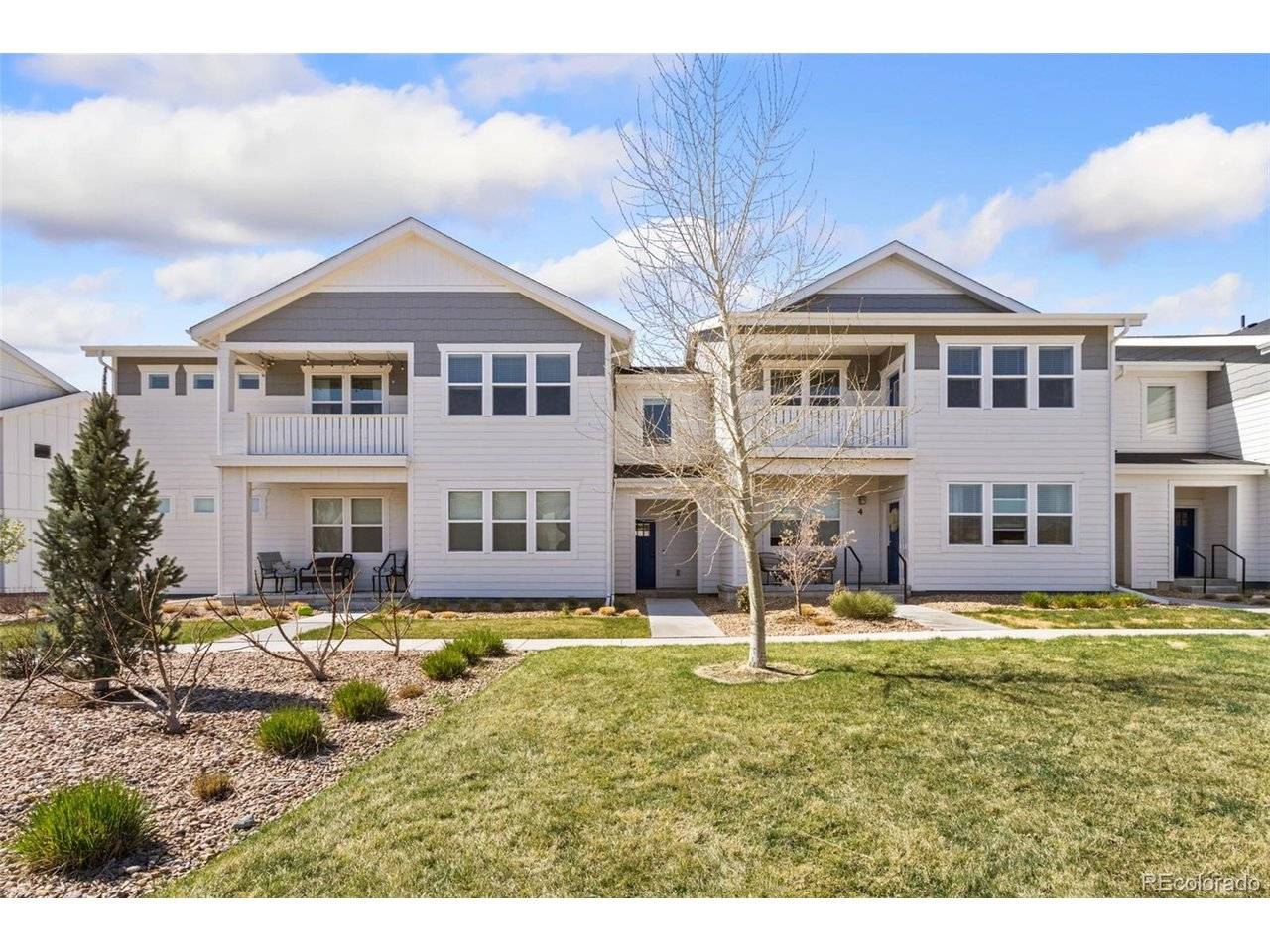 1805 Bounty #3, Windsor, CO 80550