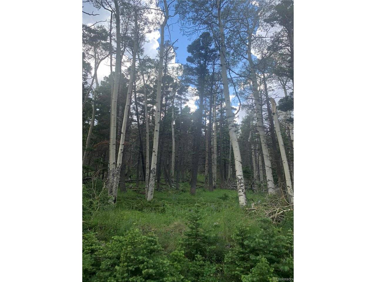 2956 Kemper, Fort Garland, CO 81133