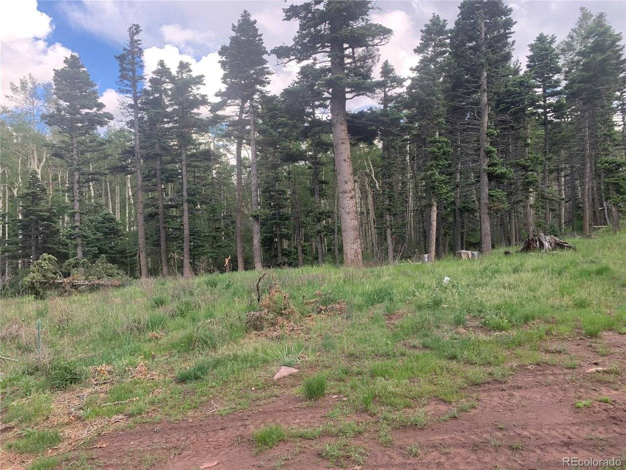 2956 Kemper, Fort Garland, CO 81133