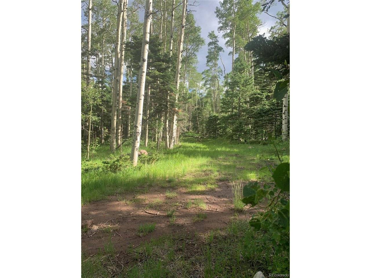 2956 Kemper, Fort Garland, CO 81133