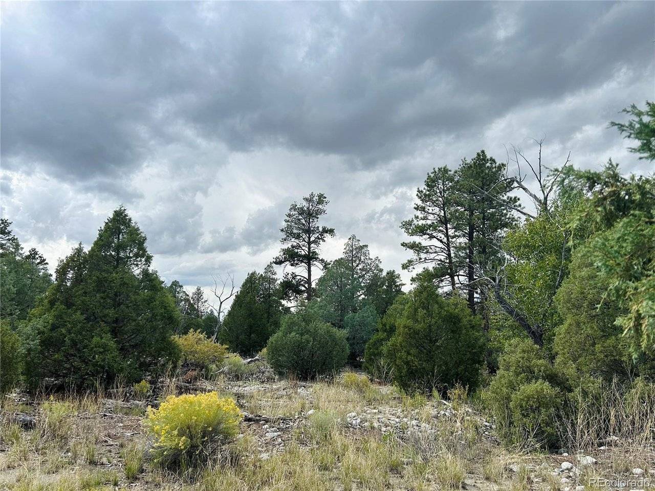 Pawnee, Mosca, CO 81146
