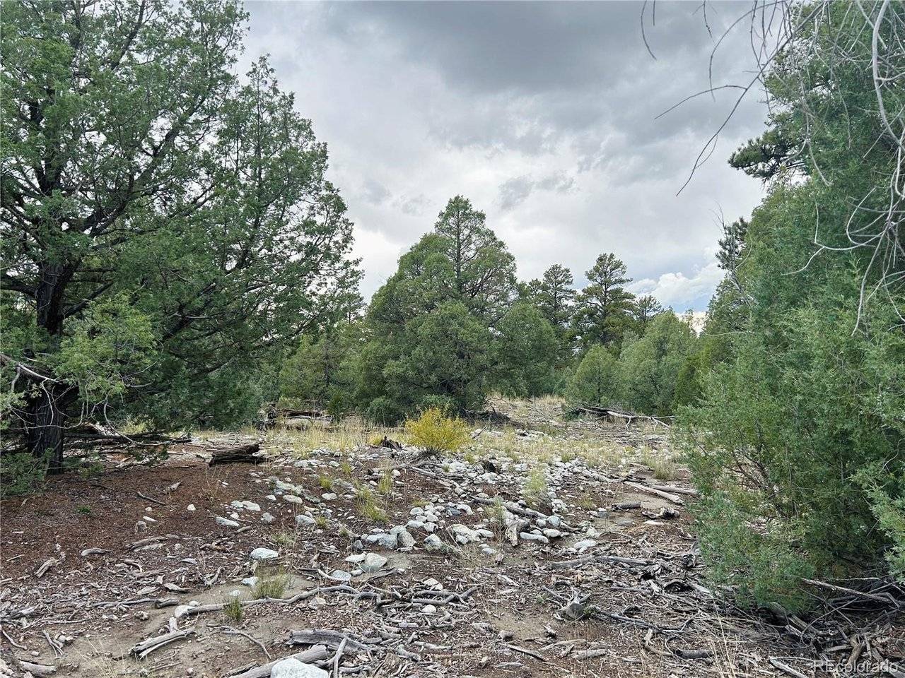 Pawnee, Mosca, CO 81146