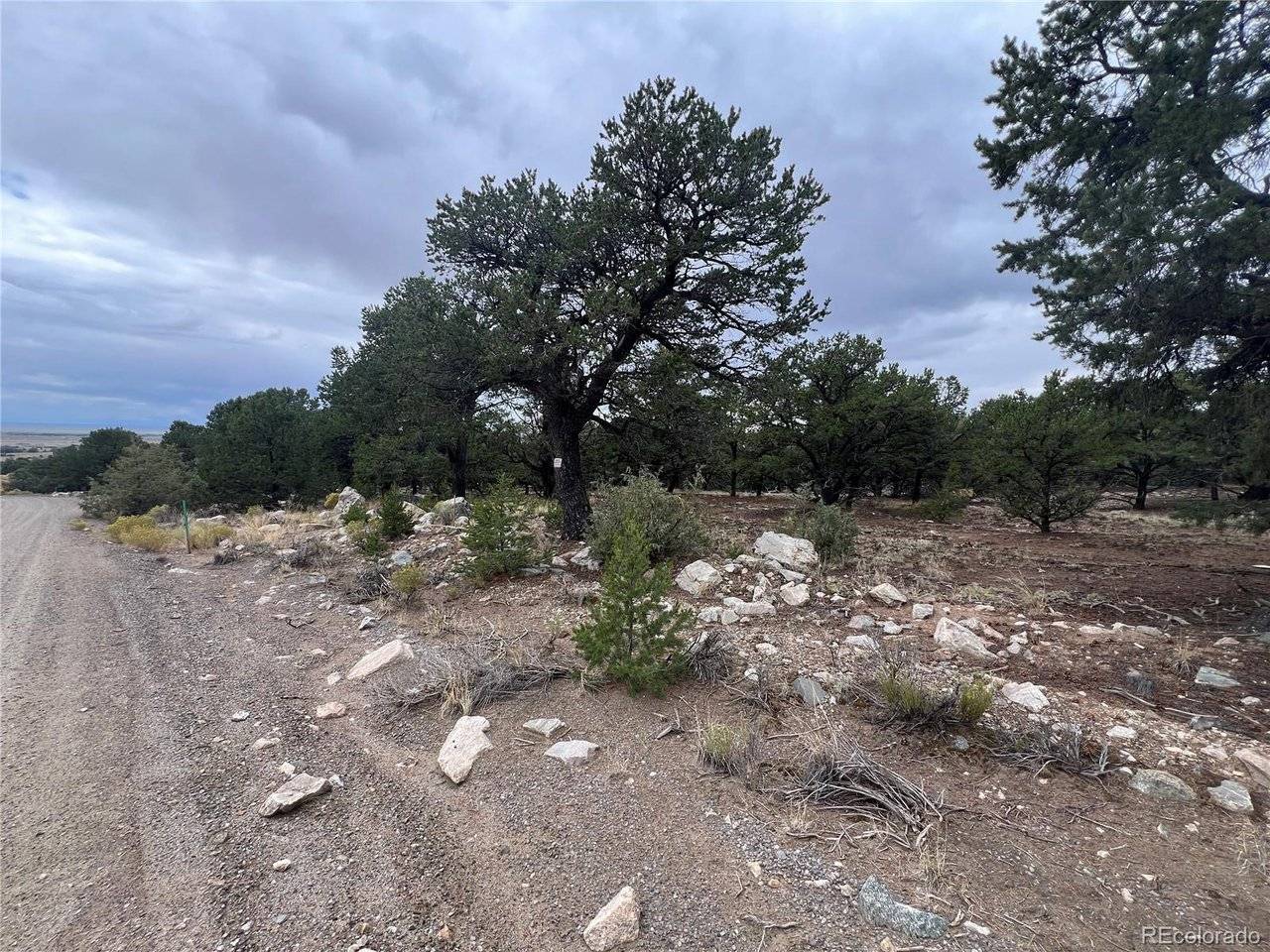 1917 Lone Pine, Crestone, CO 81131