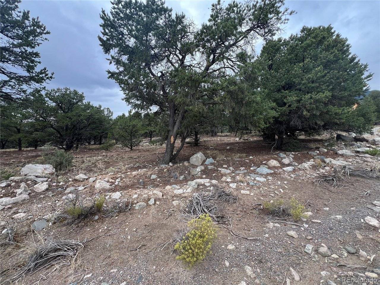 1917 Lone Pine, Crestone, CO 81131
