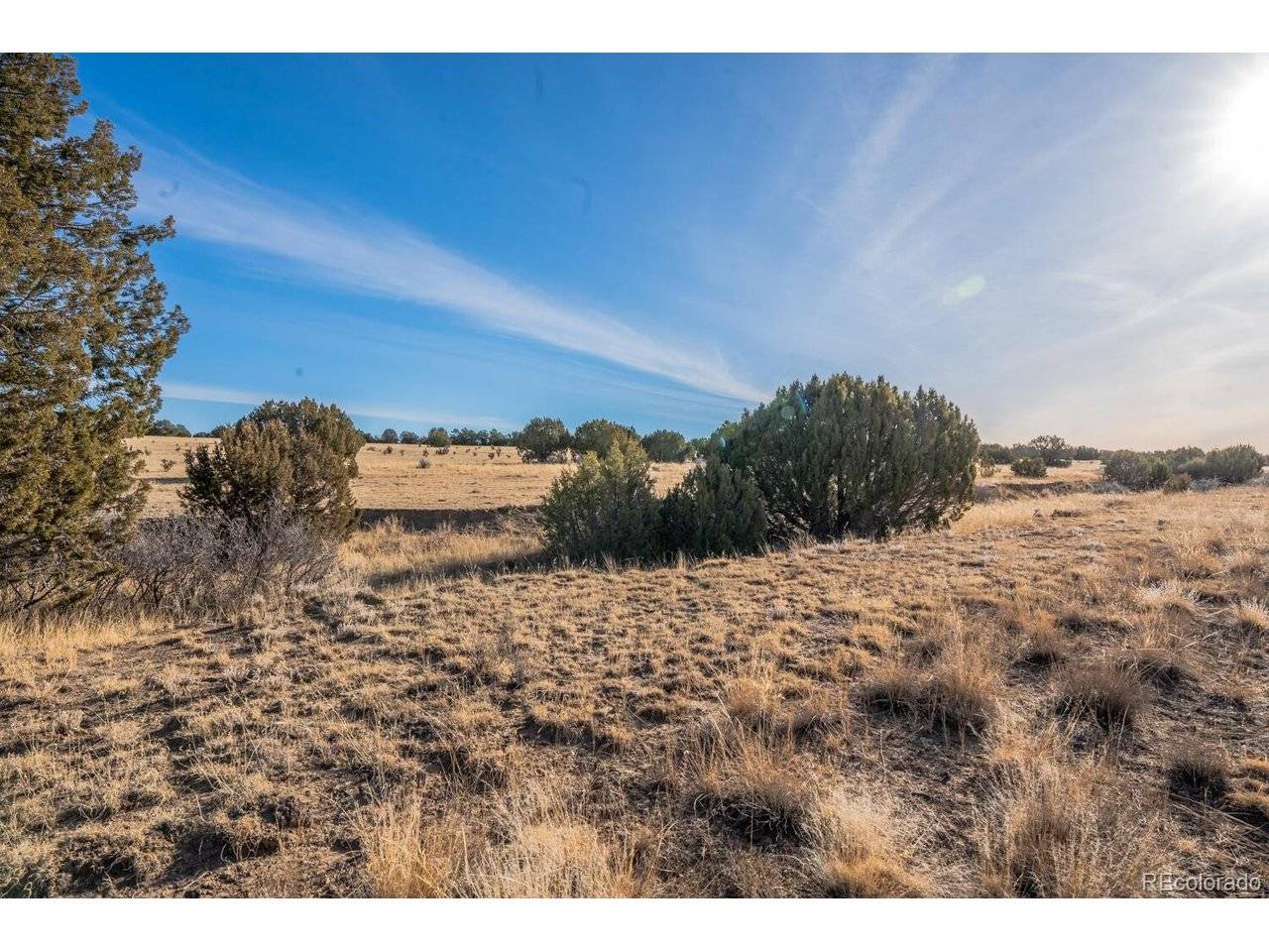 24 Hatchet Ranch, Colorado City, CO 81019