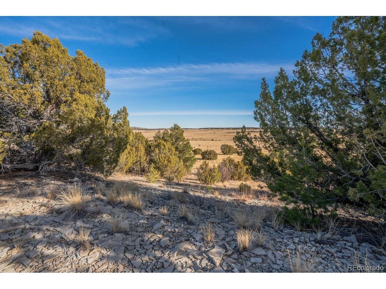 24 Hatchet Ranch, Colorado City, CO 81019