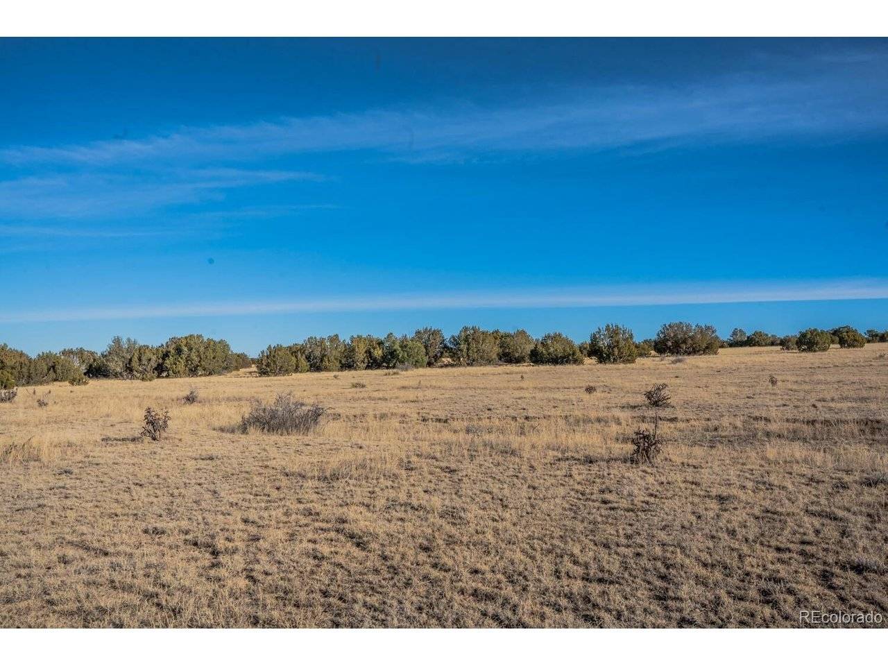 24 Hatchet Ranch, Colorado City, CO 81019