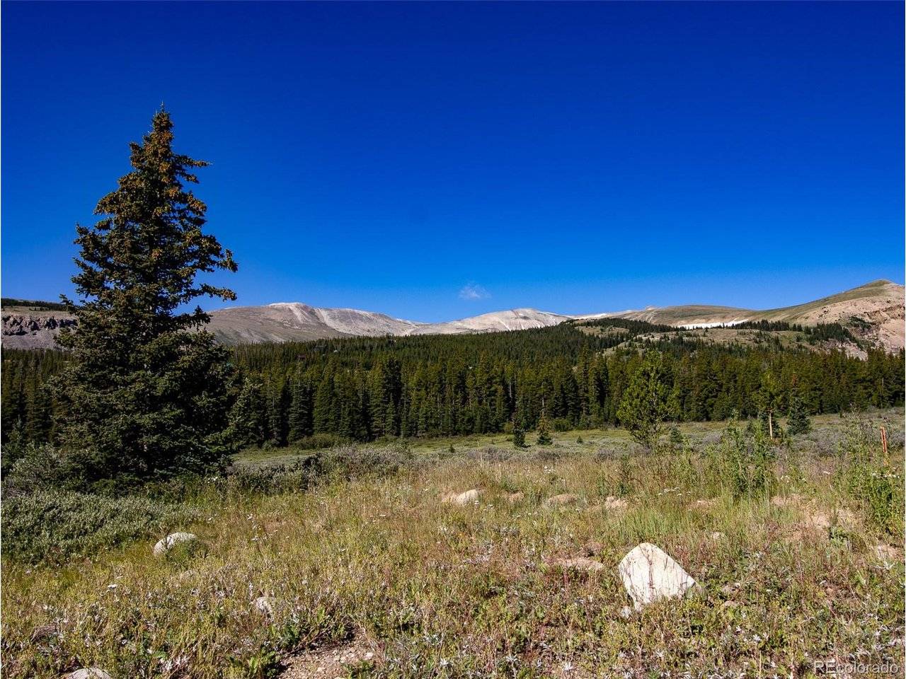 5004 Timberline, Fairplay, CO 80440