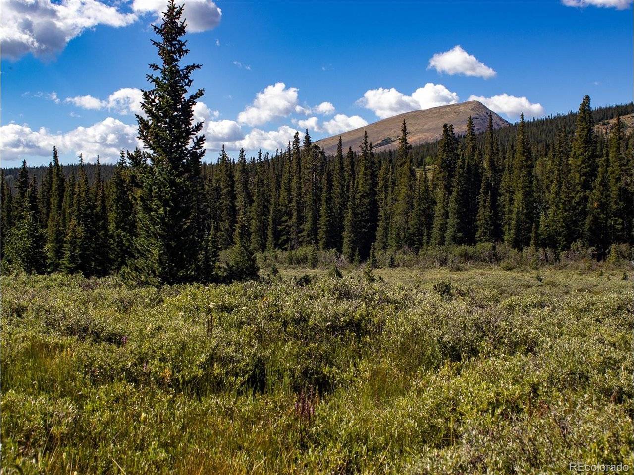 5004 Timberline, Fairplay, CO 80440