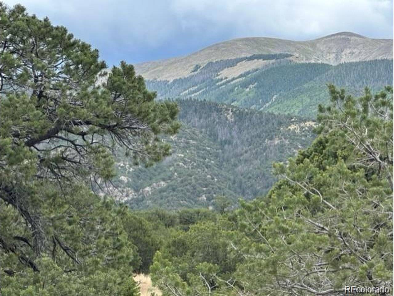 Address not disclosed, Mosca, CO 81146