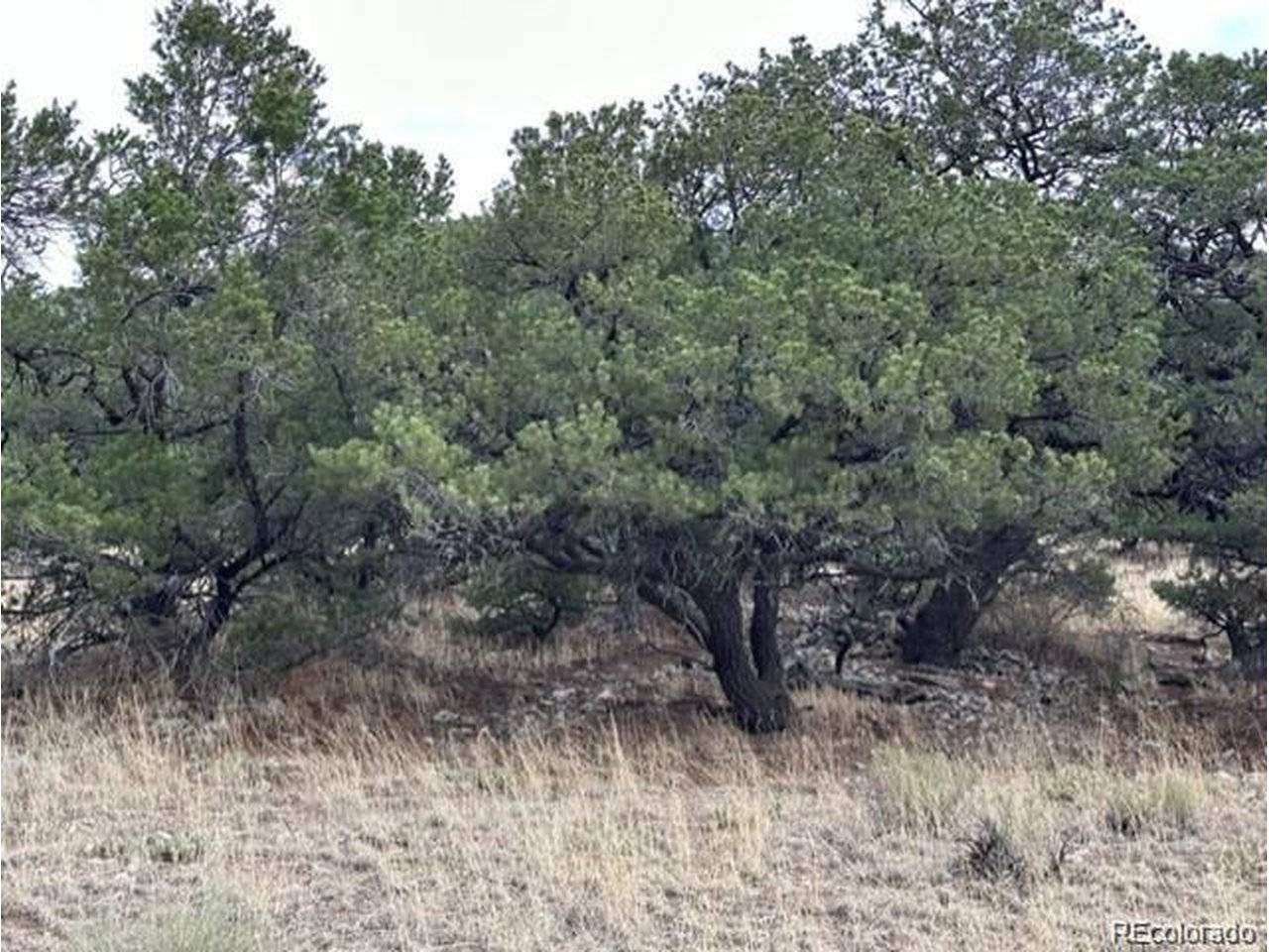 Address not disclosed, Mosca, CO 81146