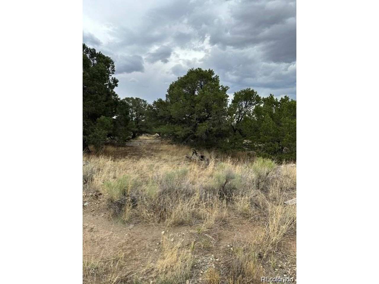 Address not disclosed, Mosca, CO 81146