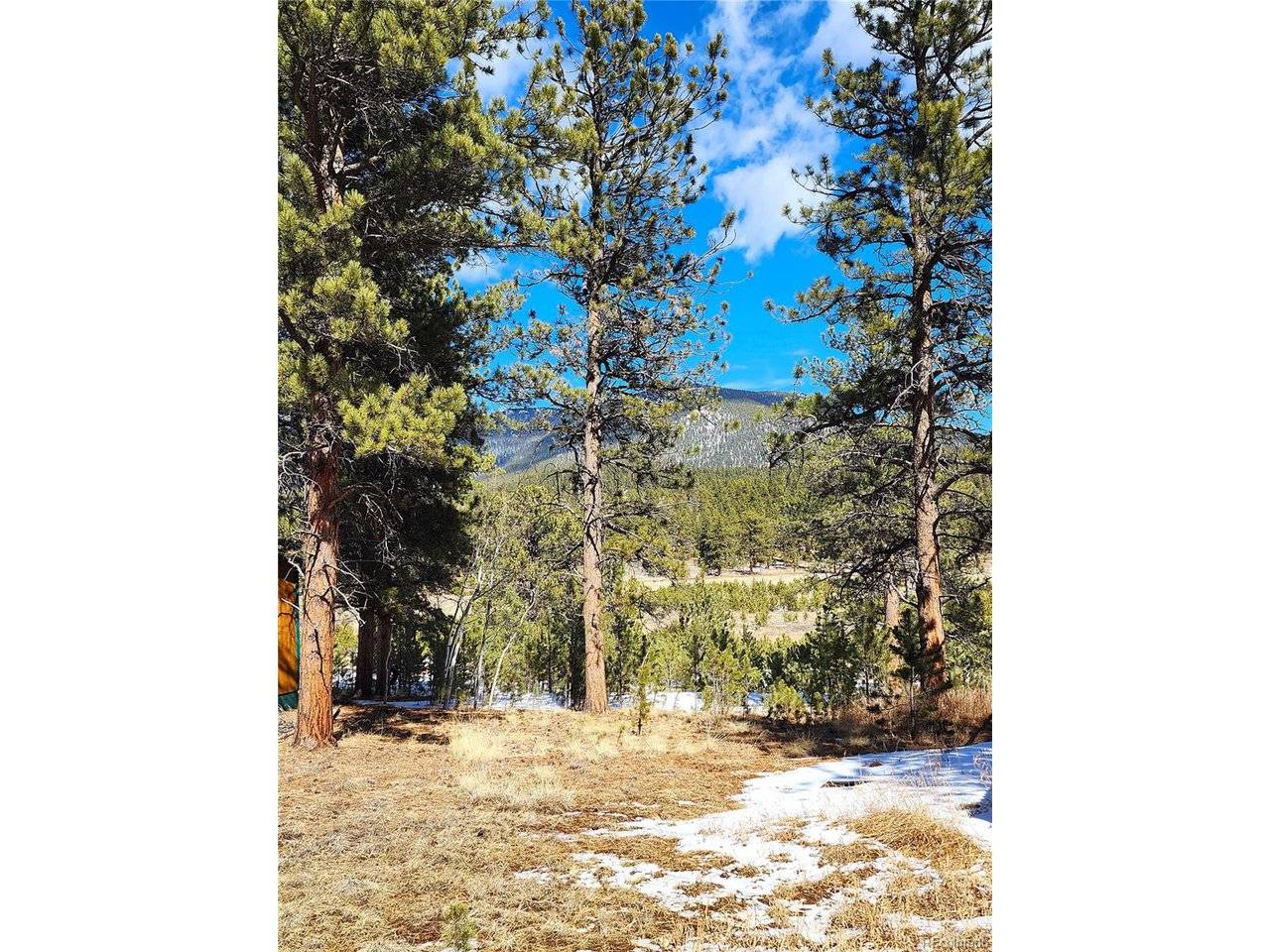 116 Neal, Bailey, CO 80421