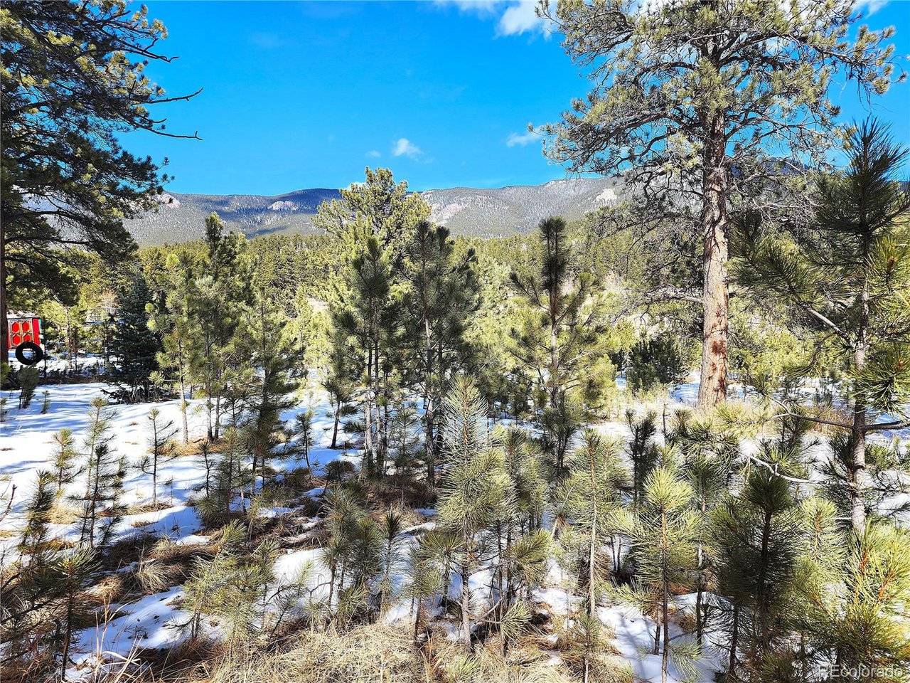 116 Neal, Bailey, CO 80421