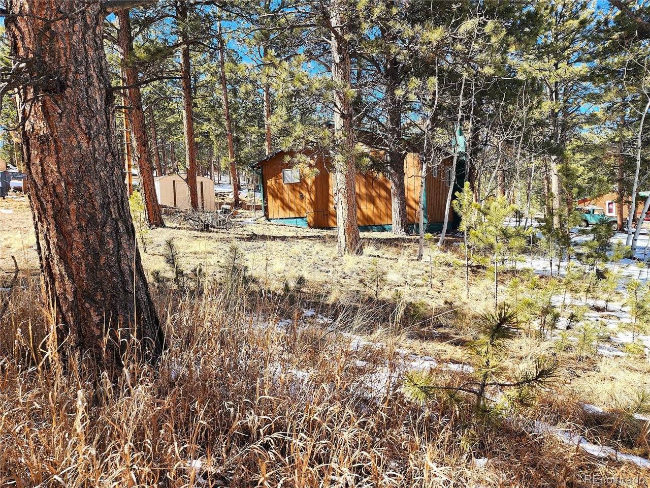 116 Neal, Bailey, CO 80421