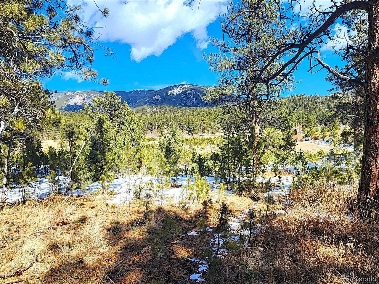 116 Neal, Bailey, CO 80421