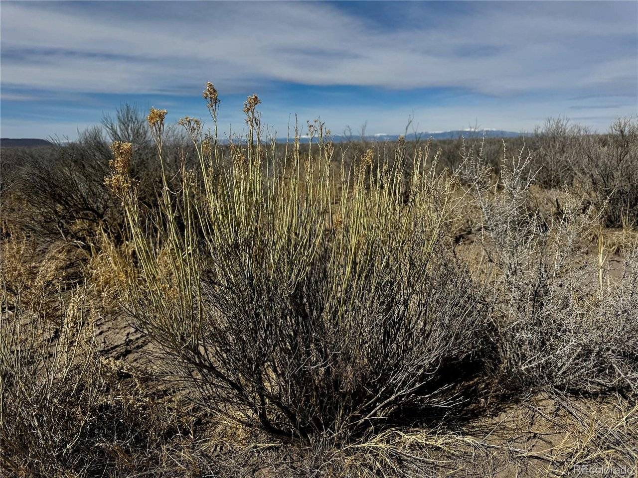 39 Big Bend, Blanca, CO 81123