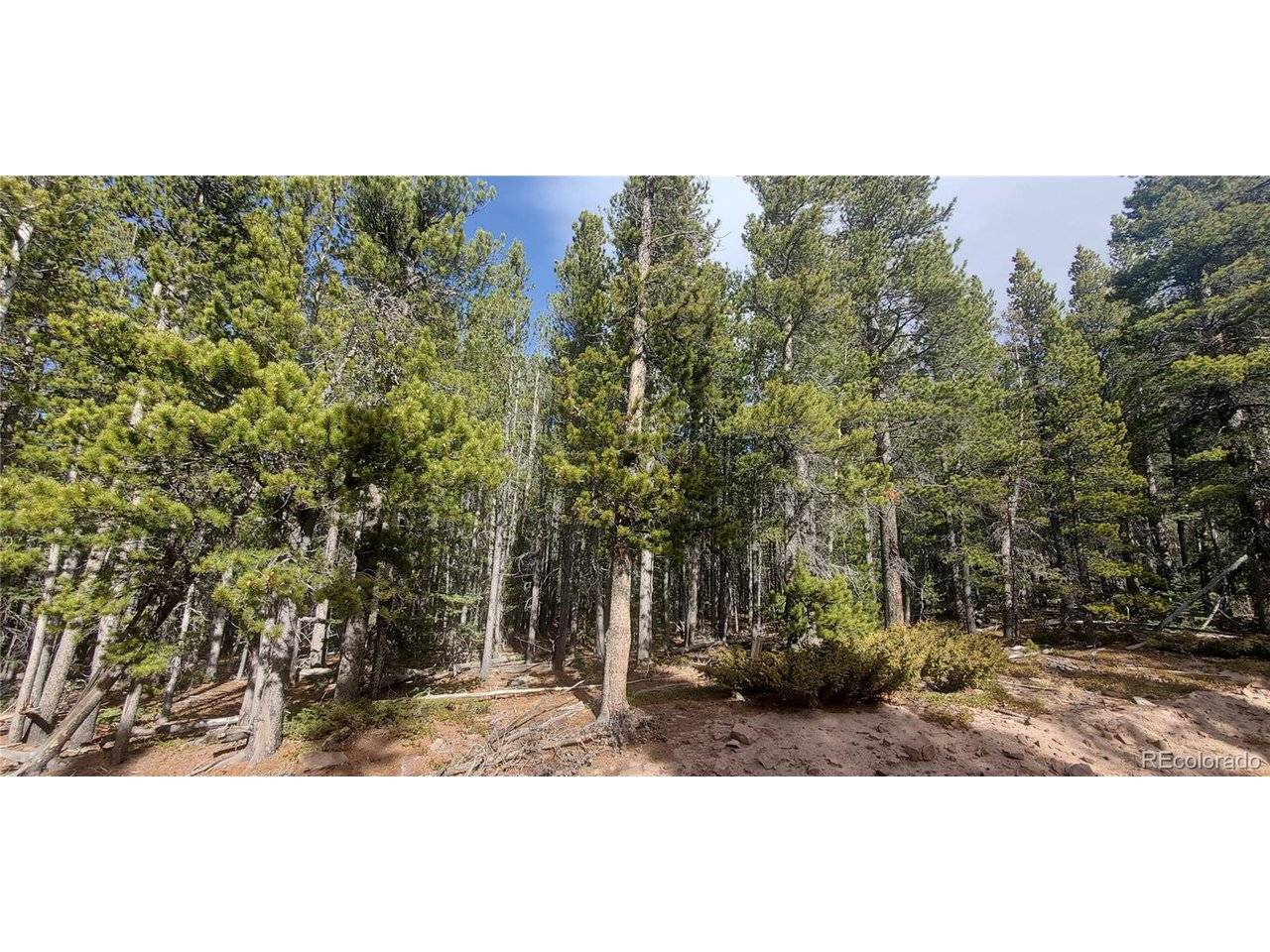3246 Zipf, Fort Garland, CO 81133