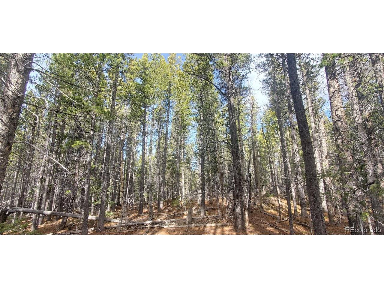 3246 Zipf, Fort Garland, CO 81133