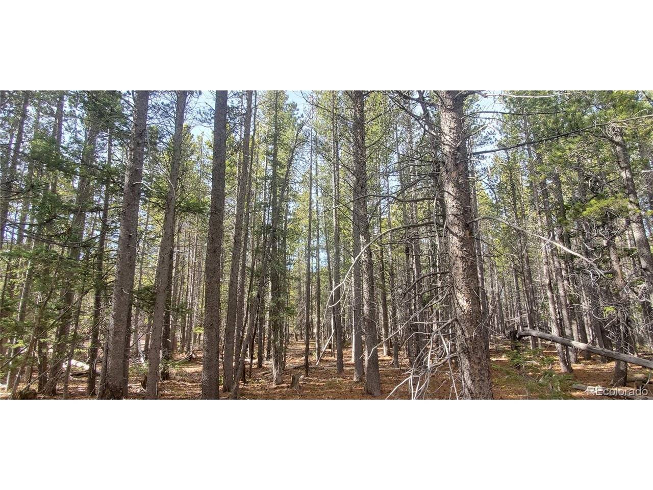 3246 Zipf, Fort Garland, CO 81133