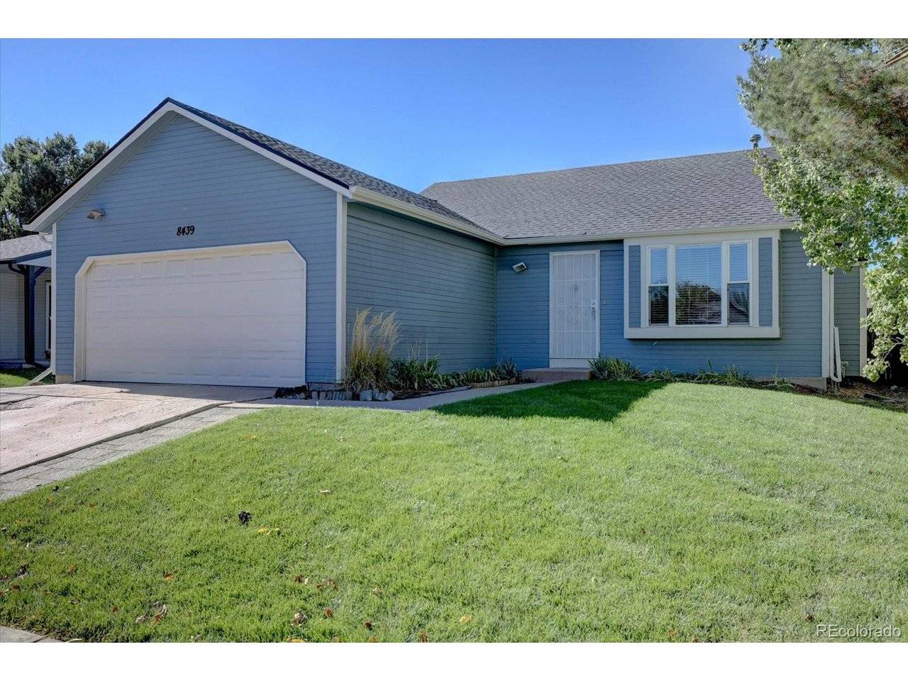 8439 Sandreed, Parker, CO 80134