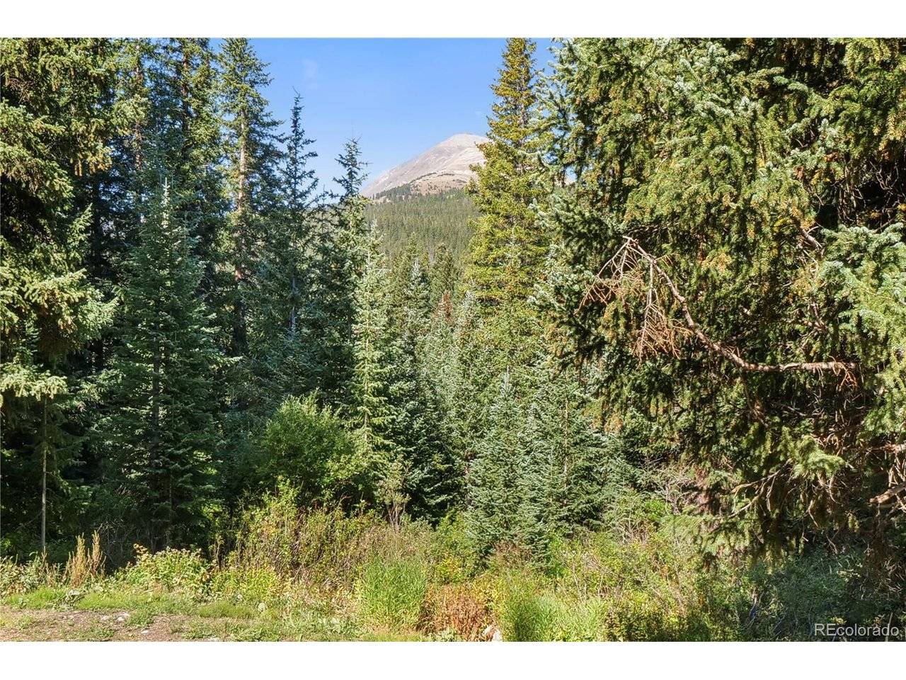 527 Tordal, Breckenridge, CO 80424