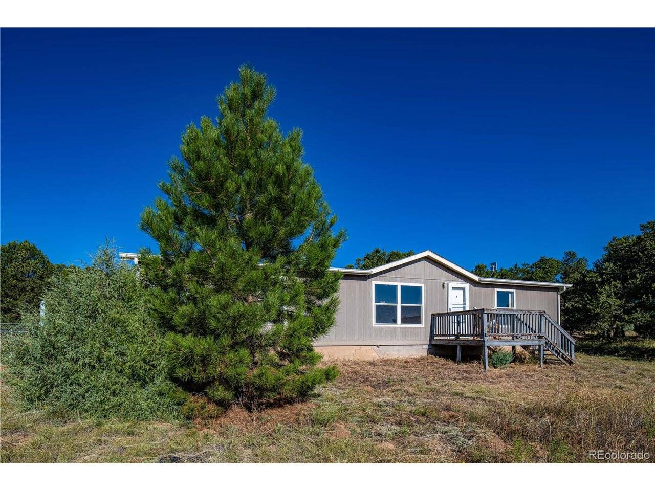 47 Bob Richards, Cotopaxi, CO 81223