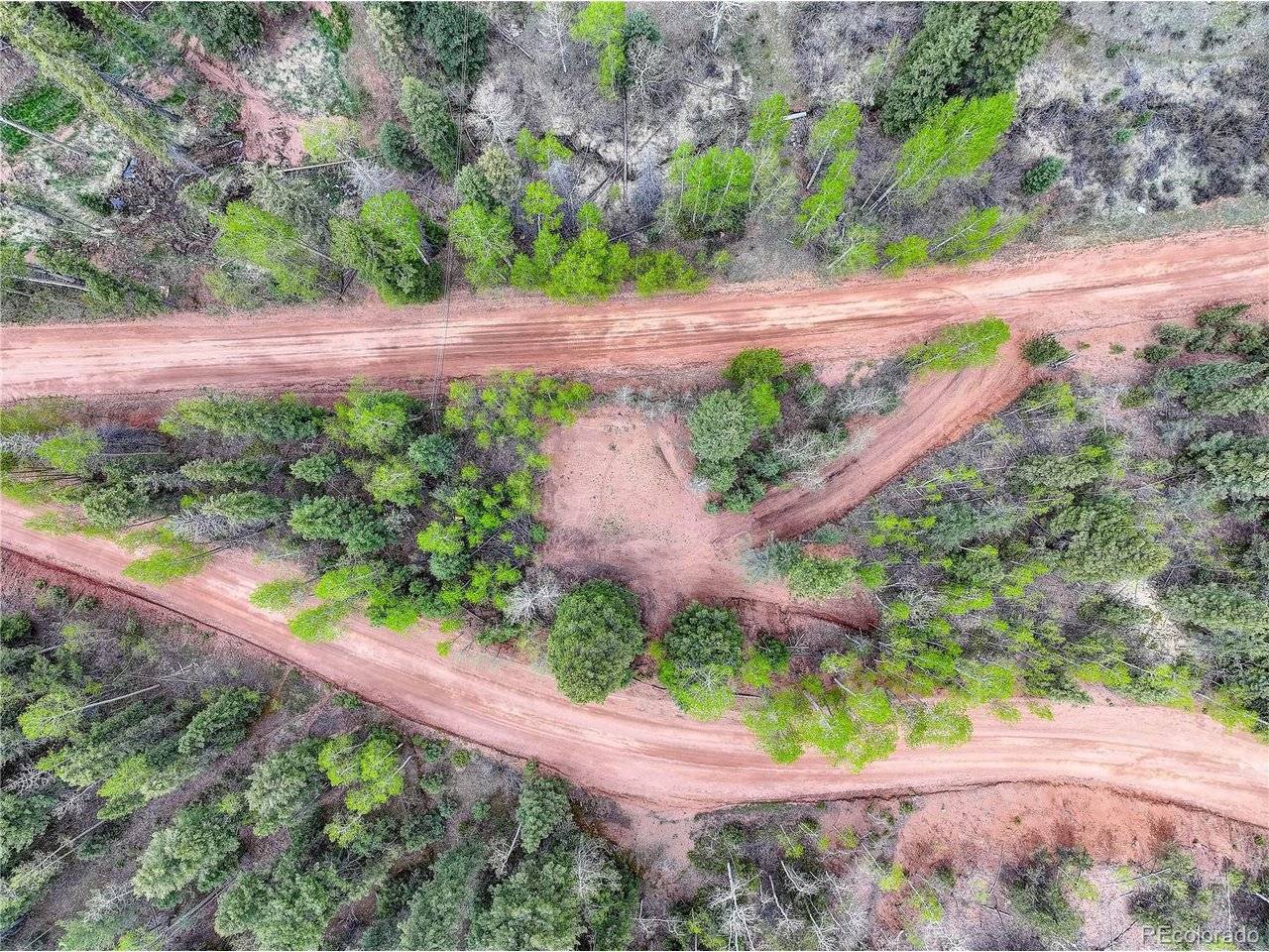 416 Willow, Divide, CO 80814