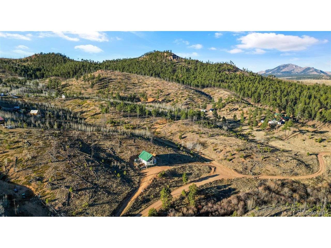 3631 Cr 33 #33, Florissant, CO 80816