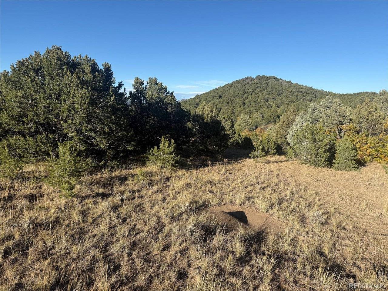 Address not disclosed, Cotopaxi, CO 81223