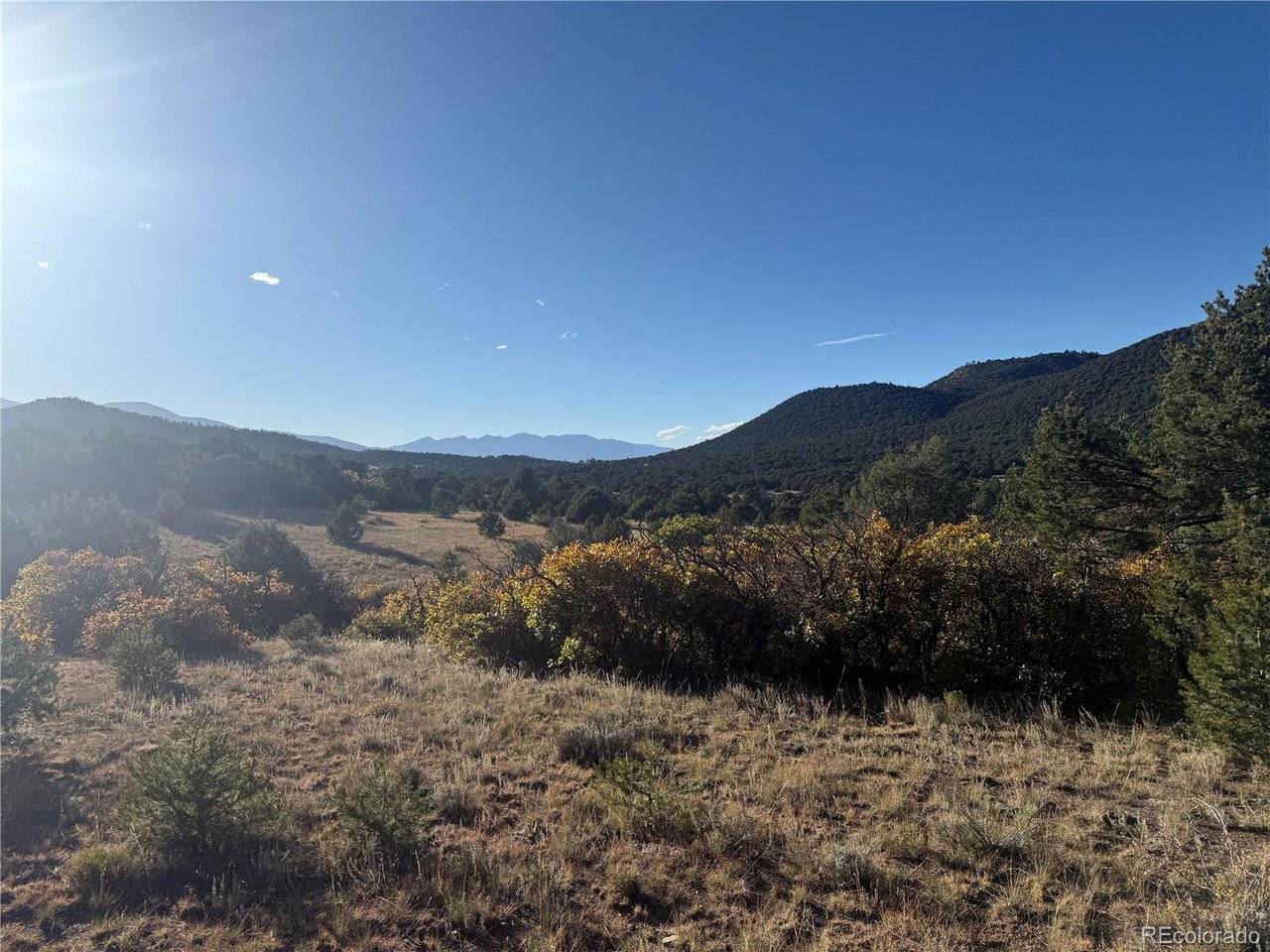 Address not disclosed, Cotopaxi, CO 81223