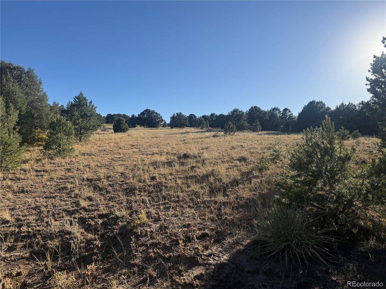 Address not disclosed, Cotopaxi, CO 81223
